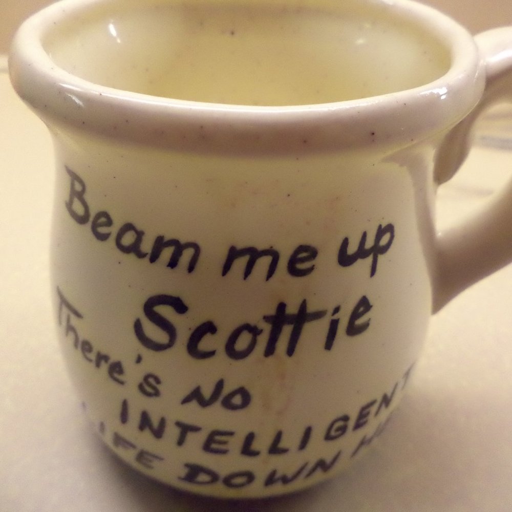 "BEAM ME UP SCOTTIE. THERE'S NO INTELLIGENT LIFE DOWN HERE" - STAR TREK MUG